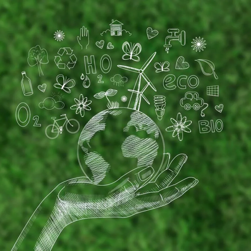 The Role of Sustainability Consulting in Building a Greener Future